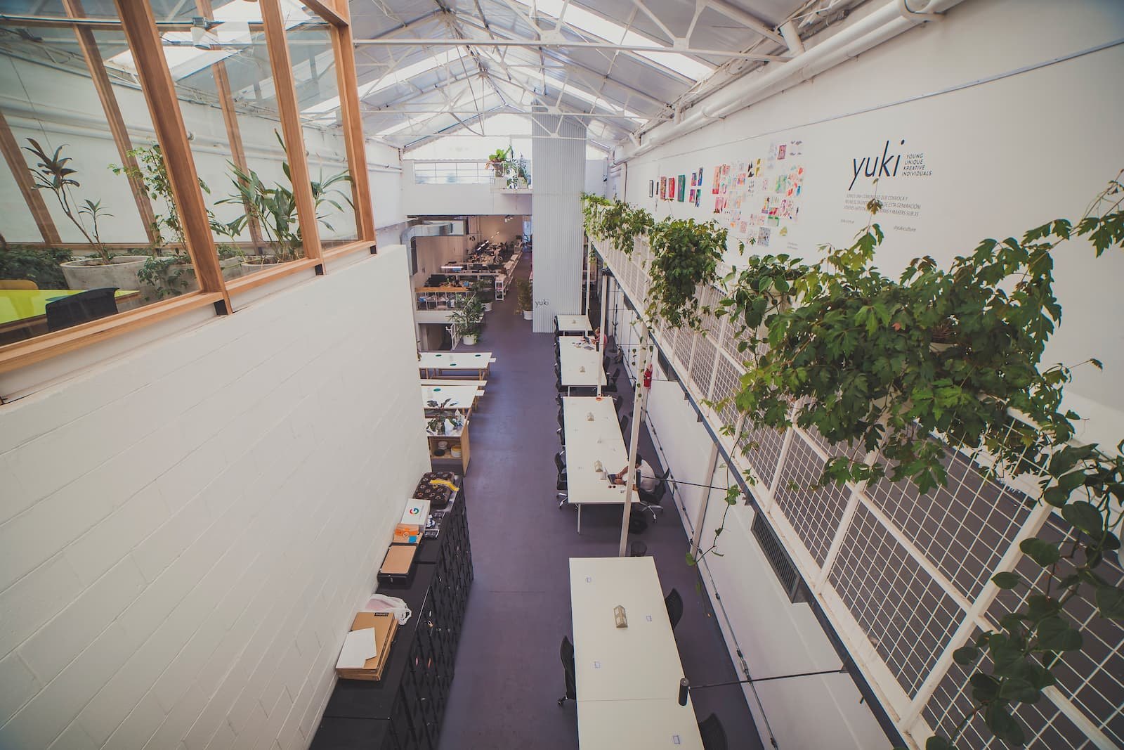 Interior de Huerta Dorrego: escritorios, plantas y techo de vidrio